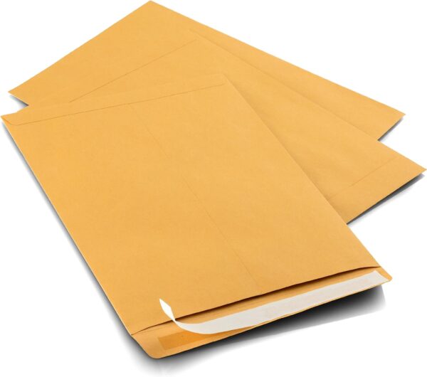 9 X 12 Self-Seal Brown Kraft Catalog Mailing Envelopes - Image 2